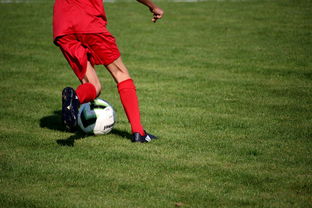 九游体育app-中国篮球职业联赛俱乐部青训体系建设及实践探索，职业篮球青年队